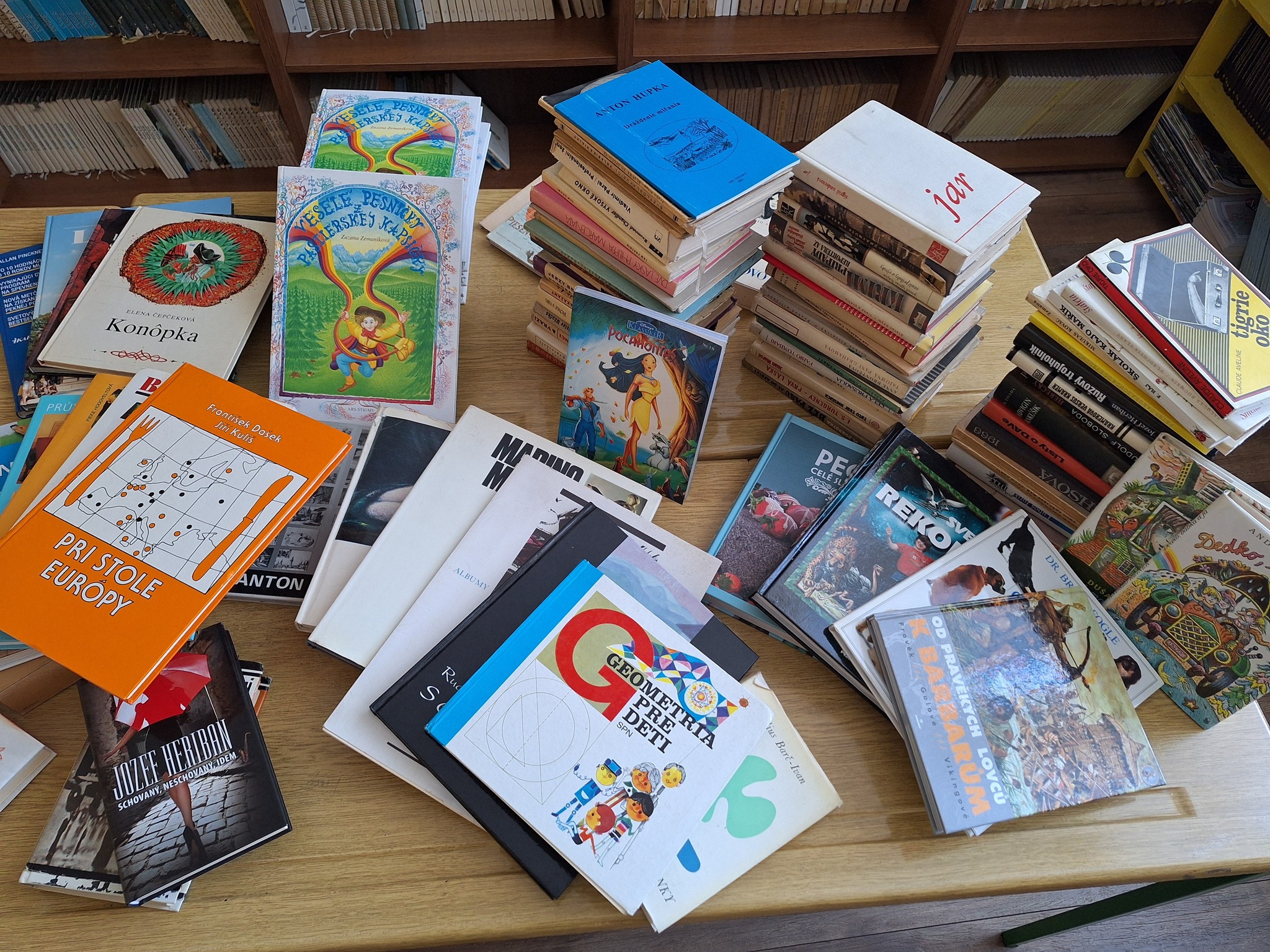 školská knižnica, Padina