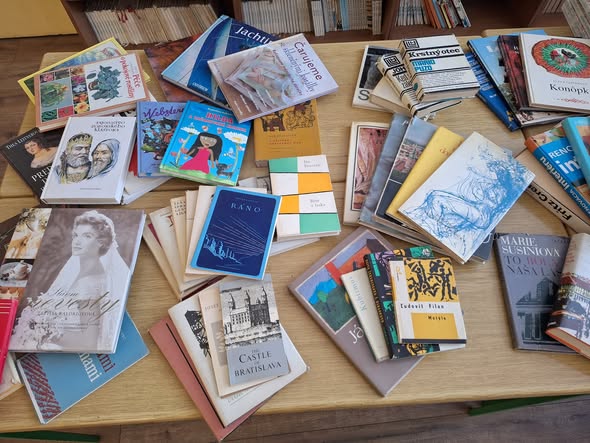 školská knižnica, Padina