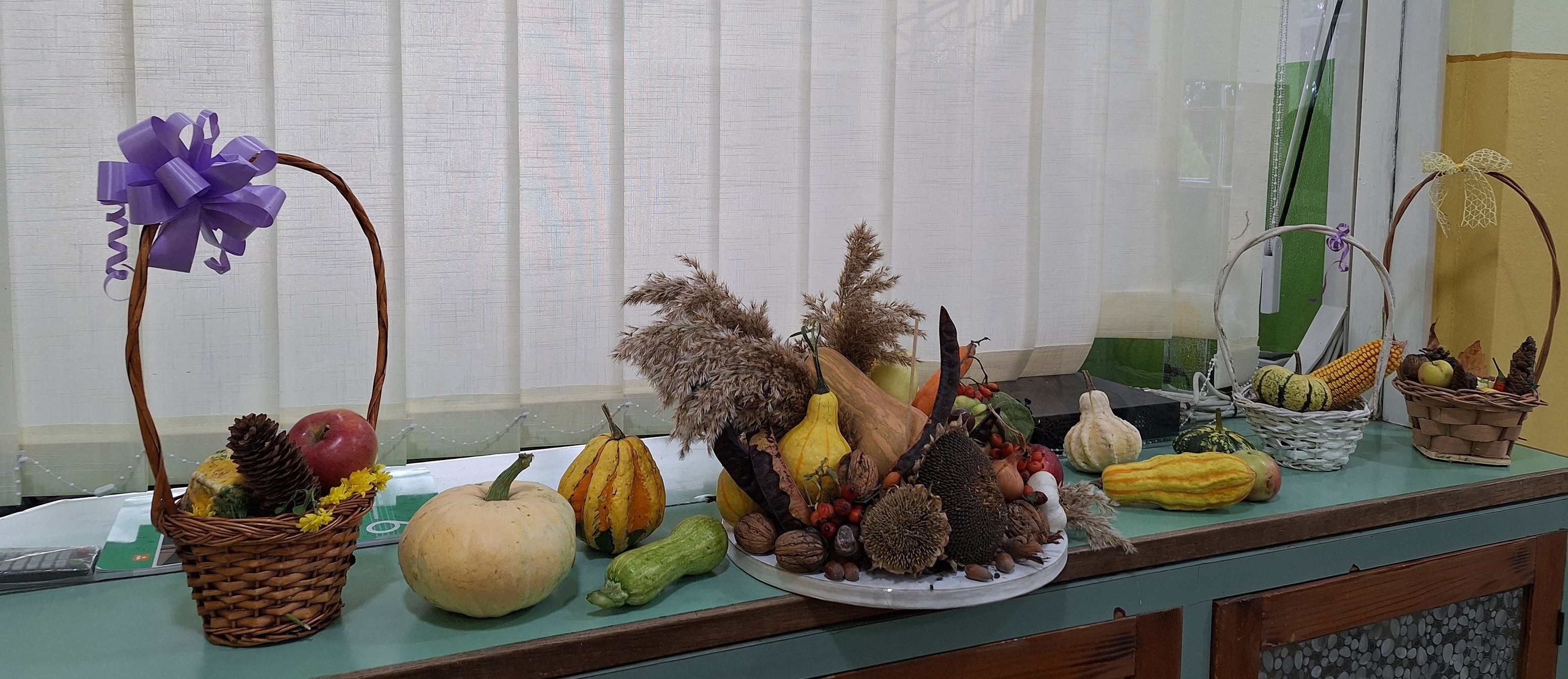 os marsal tito, zakladna skola marsala tita, Padina